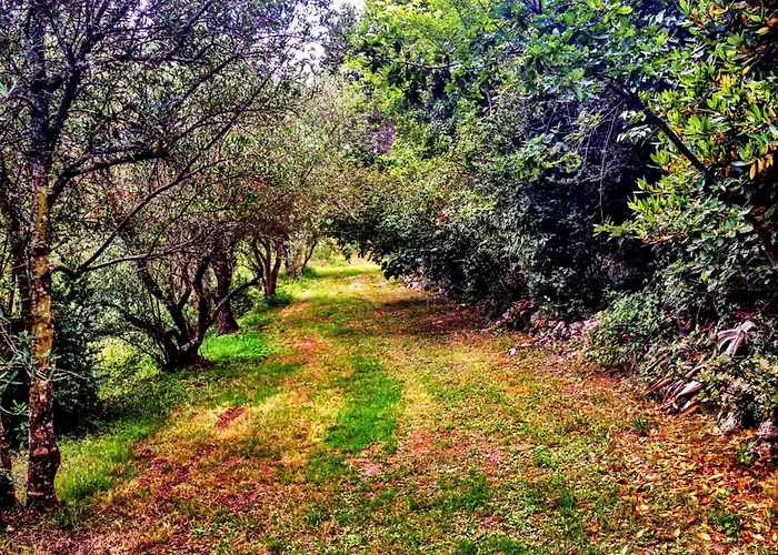 La Sempesserre Nyaraló Saint-Maurin